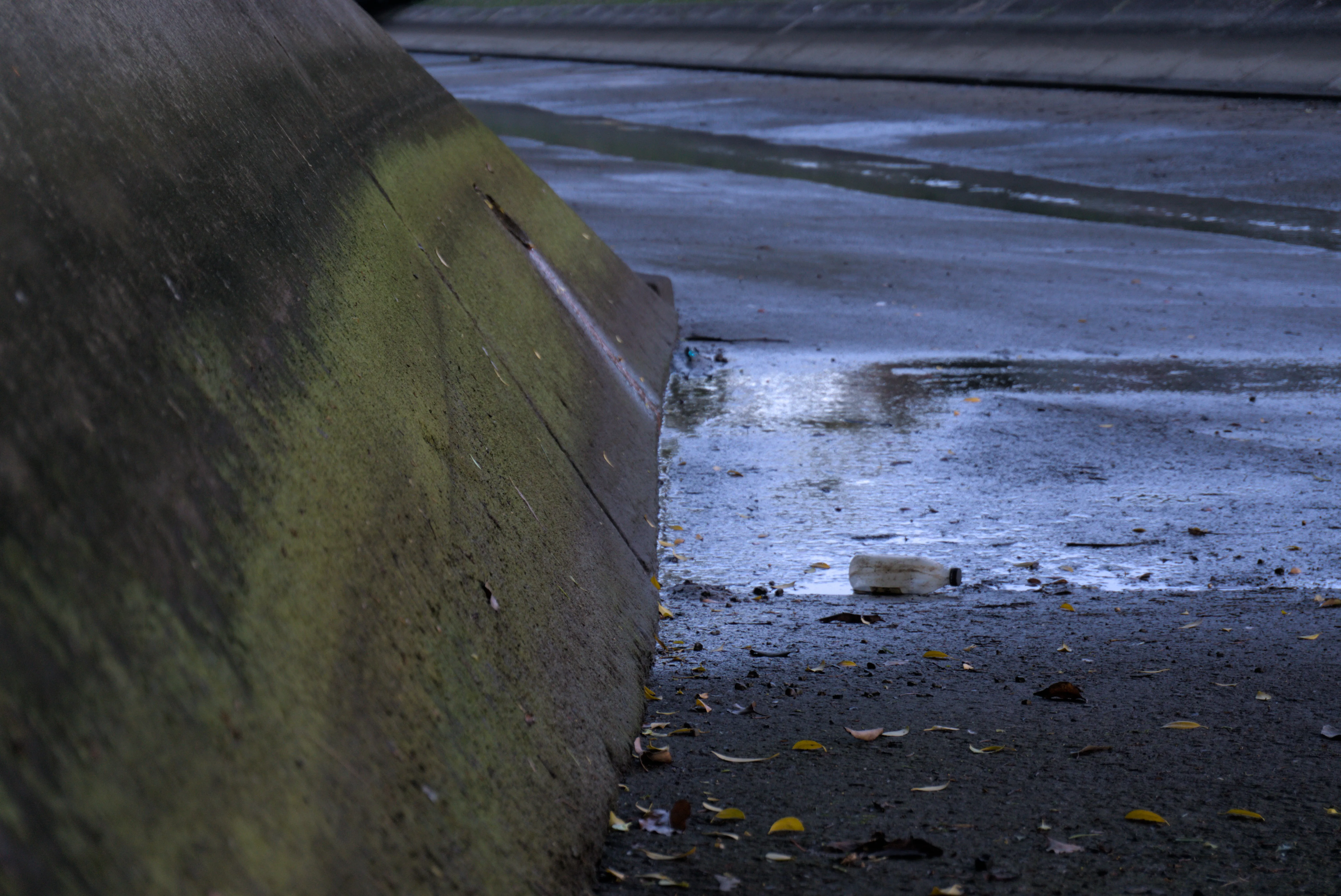 A moss coated water channel with milk bottle litter