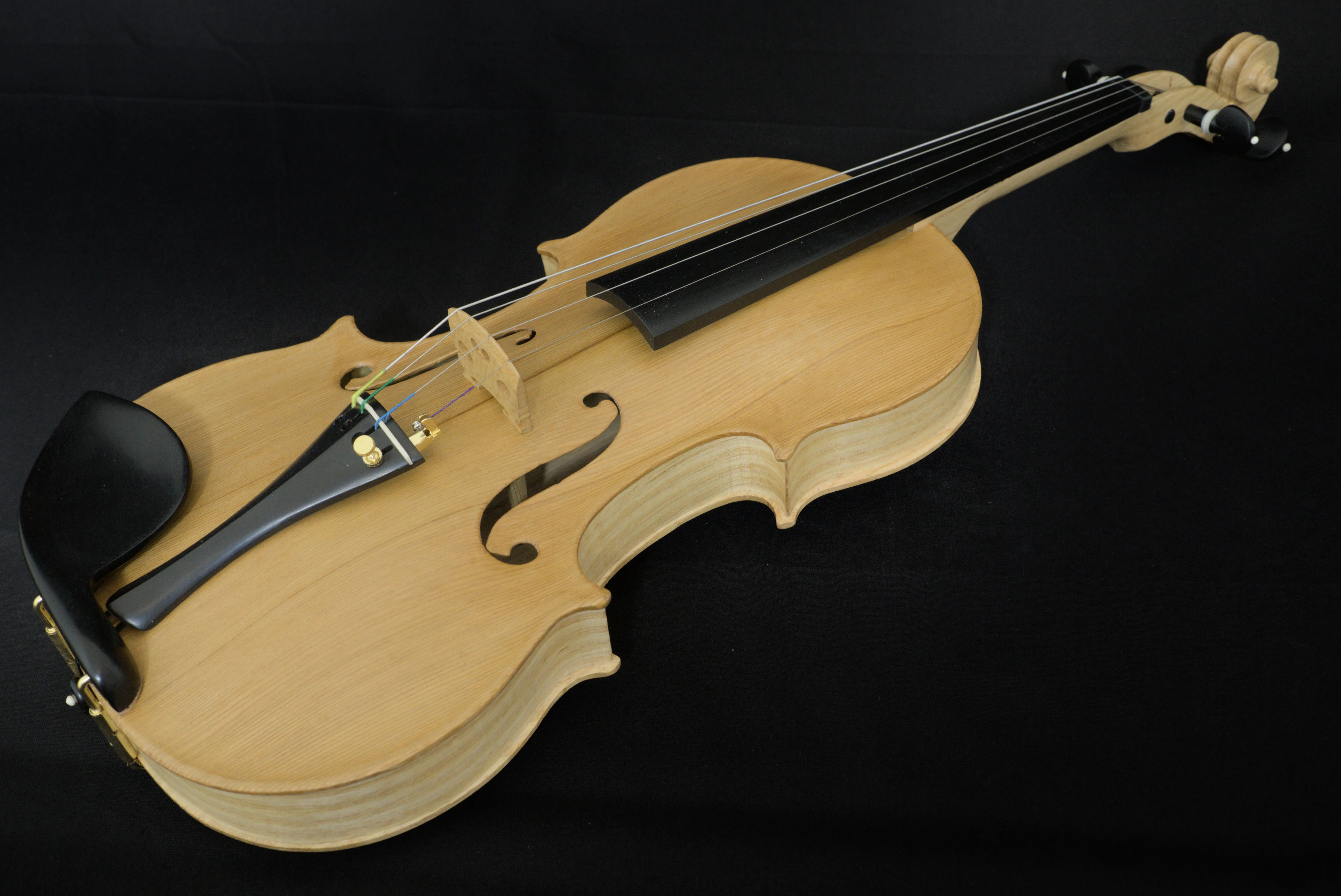 A violin